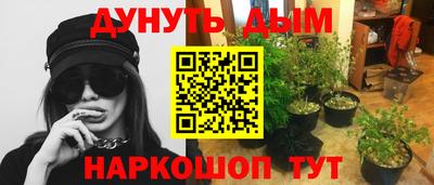 прущие грибы Заволжье